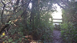 Fox Way Geocache 10