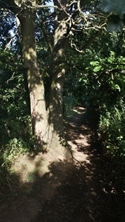 Fox Way Geocache 11