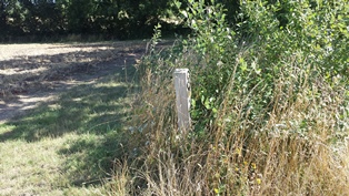 Fox Way Geocache 3