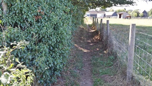 Fox Way Geocache 6