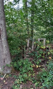 Fox Way Geocache 7